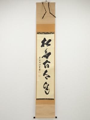 前大徳藤井誡堂筆　「松無古今色」一行書　肉筆紙本掛軸（共箱）